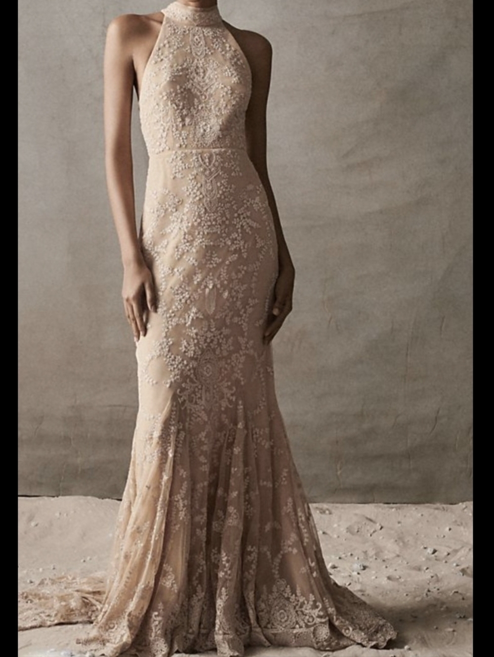 Bhldn Daisy Lace Halter Open Back Wedding Gown Champagne 10 Nwt Price Drop